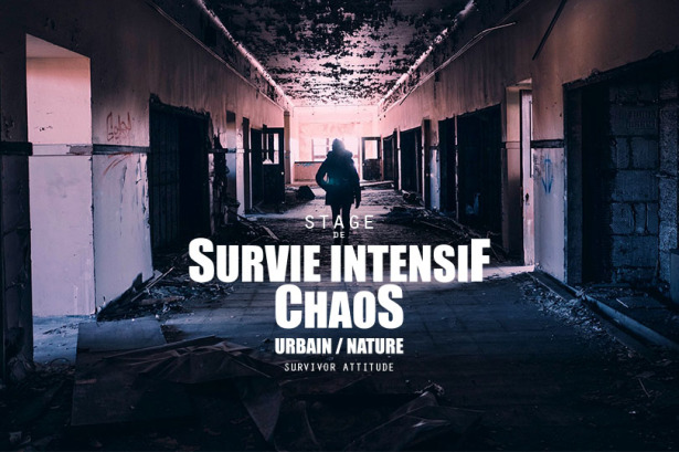 Stage chasse peche cueillette