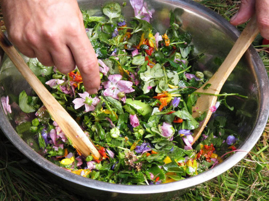 Salade cueillette fleurs plantes